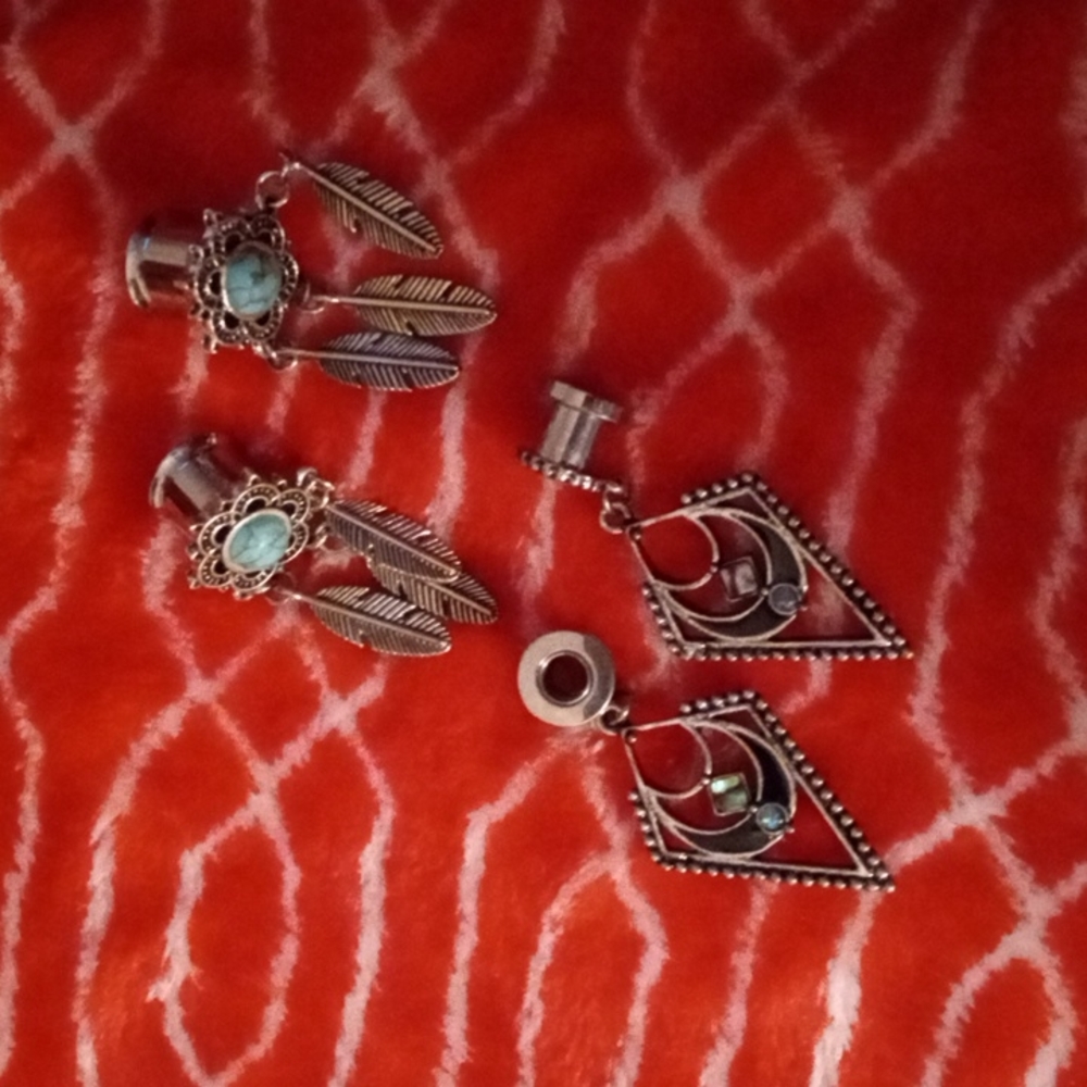 Silver Gaged Ear Rings (NWNT)